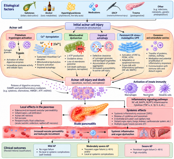 EC Microbiology
